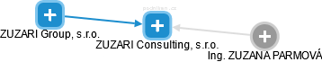 ZUZARI Consulting, s.r.o. - náhled vizuálního zobrazení vztahů obchodního rejstříku