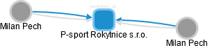P-sport Rokytnice s.r.o. - náhled vizuálního zobrazení vztahů obchodního rejstříku