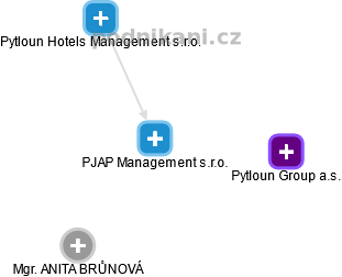 PJAP Management s.r.o. - náhled vizuálního zobrazení vztahů obchodního rejstříku