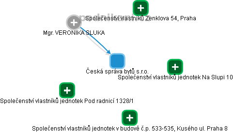 Česká správa bytů s.r.o. - náhled vizuálního zobrazení vztahů obchodního rejstříku