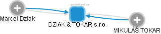 DZIAK & TOKAR s.r.o. - náhled vizuálního zobrazení vztahů obchodního rejstříku