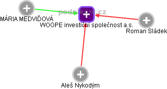 WOOPE investiční společnost a.s. - náhled vizuálního zobrazení vztahů obchodního rejstříku