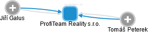 ProfiTeam Reality s.r.o. - náhled vizuálního zobrazení vztahů obchodního rejstříku