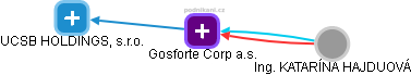 Gosforte Corp a.s. - náhled vizuálního zobrazení vztahů obchodního rejstříku