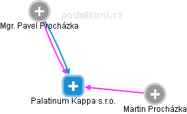 Palatinum Kappa s.r.o. - náhled vizuálního zobrazení vztahů obchodního rejstříku