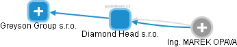 Diamond Head s.r.o. - náhled vizuálního zobrazení vztahů obchodního rejstříku