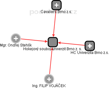 Hokejový souboj univerzit Brno z. s. - náhled vizuálního zobrazení vztahů obchodního rejstříku