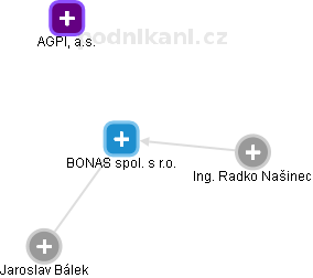 BONAS spol. s r.o. - náhled vizuálního zobrazení vztahů obchodního rejstříku