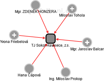 TJ Sokol Havlovice, z.s. - náhled vizuálního zobrazení vztahů obchodního rejstříku
