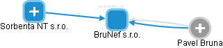 BruNef s.r.o. - náhled vizuálního zobrazení vztahů obchodního rejstříku