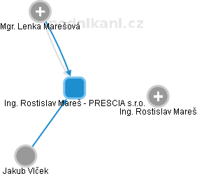 Ing. Rostislav Mareš - PRESCIA s.r.o. - náhled vizuálního zobrazení vztahů obchodního rejstříku