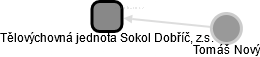 Tělovýchovná jednota Sokol Dobříč, z.s. - náhled vizuálního zobrazení vztahů obchodního rejstříku