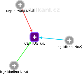 CETTUS a.s. - náhled vizuálního zobrazení vztahů obchodního rejstříku