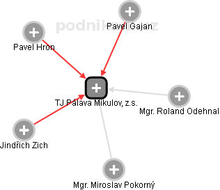 TJ Pálava Mikulov, z.s. - náhled vizuálního zobrazení vztahů obchodního rejstříku