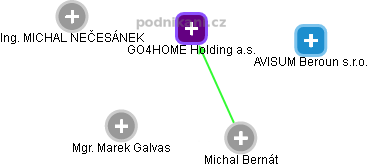 GO4HOME Holding a.s. - náhled vizuálního zobrazení vztahů obchodního rejstříku