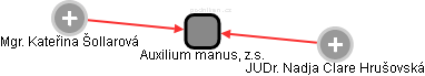Auxilium manus, z.s. - náhled vizuálního zobrazení vztahů obchodního rejstříku