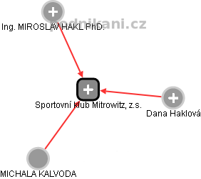 Sportovní klub Mitrowitz, z.s. - náhled vizuálního zobrazení vztahů obchodního rejstříku