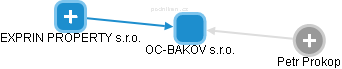 OC-BAKOV s.r.o. - náhled vizuálního zobrazení vztahů obchodního rejstříku