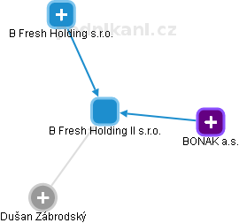 B Fresh Holding II s.r.o. - náhled vizuálního zobrazení vztahů obchodního rejstříku