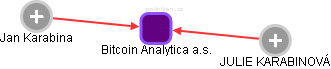 Bitcoin Analytica a.s. - náhled vizuálního zobrazení vztahů obchodního rejstříku
