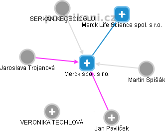 Merck spol. s r.o. - náhled vizuálního zobrazení vztahů obchodního rejstříku
