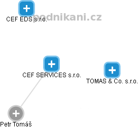 CEF SERVICES s.r.o. - náhled vizuálního zobrazení vztahů obchodního rejstříku