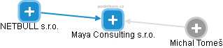 Maya Consulting s.r.o. - náhled vizuálního zobrazení vztahů obchodního rejstříku