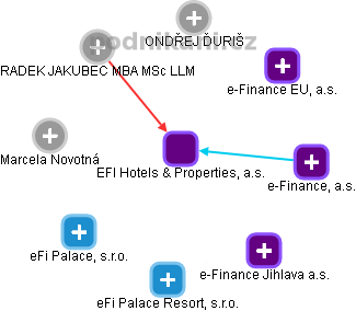 EFI Hotels & Properties, a.s. - náhled vizuálního zobrazení vztahů obchodního rejstříku