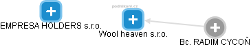 Wool heaven s.r.o. - náhled vizuálního zobrazení vztahů obchodního rejstříku