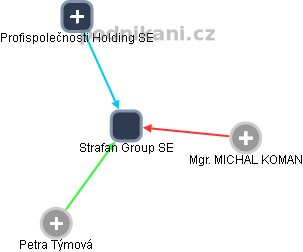 Strafan Group SE - náhled vizuálního zobrazení vztahů obchodního rejstříku