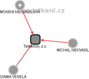 Telperion, z.s. - náhled vizuálního zobrazení vztahů obchodního rejstříku