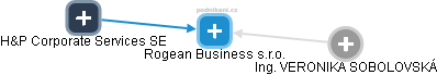 Rogean Business s.r.o. - náhled vizuálního zobrazení vztahů obchodního rejstříku