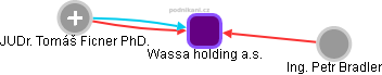 Wassa holding a.s. - náhled vizuálního zobrazení vztahů obchodního rejstříku