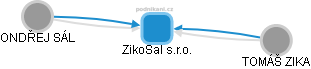 ZikoSal s.r.o. - náhled vizuálního zobrazení vztahů obchodního rejstříku