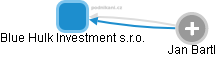 Blue Hulk Investment s.r.o. - náhled vizuálního zobrazení vztahů obchodního rejstříku