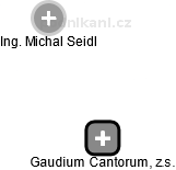 Gaudium Cantorum, z.s. - náhled vizuálního zobrazení vztahů obchodního rejstříku