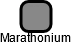 Marathonium - náhled vizuálního zobrazení vztahů obchodního rejstříku