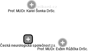 Česká neurologická společnost z.s. - náhled vizuálního zobrazení vztahů obchodního rejstříku