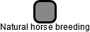 Natural horse breeding - náhled vizuálního zobrazení vztahů obchodního rejstříku