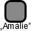 Amálie - náhled vizuálního zobrazení vztahů obchodního rejstříku