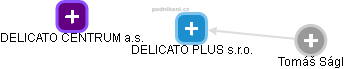 DELICATO PLUS s.r.o. - náhled vizuálního zobrazení vztahů obchodního rejstříku