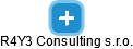 R4Y3 Consulting s.r.o. - náhled vizuálního zobrazení vztahů obchodního rejstříku
