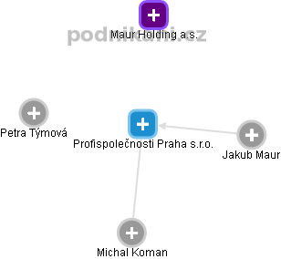Profispolečnosti Praha s.r.o. - náhled vizuálního zobrazení vztahů obchodního rejstříku