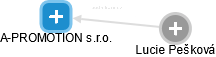 A-PROMOTION s.r.o. - náhled vizuálního zobrazení vztahů obchodního rejstříku