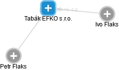 Tabák EFKO s.r.o. - náhled vizuálního zobrazení vztahů obchodního rejstříku
