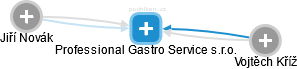 Professional Gastro Service s.r.o. - náhled vizuálního zobrazení vztahů obchodního rejstříku