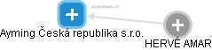 Ayming Česká republika s.r.o. - náhled vizuálního zobrazení vztahů obchodního rejstříku