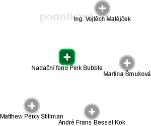 Nadační fond Pink Bubble - náhled vizuálního zobrazení vztahů obchodního rejstříku