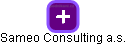 Sameo Consulting a.s. - náhled vizuálního zobrazení vztahů obchodního rejstříku