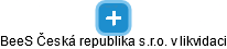 BeeS Česká republika s.r.o. v likvidaci - náhled vizuálního zobrazení vztahů obchodního rejstříku